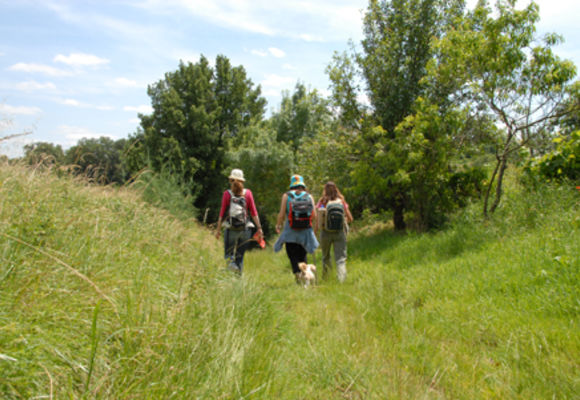 Randonnée des lacs_Glatens