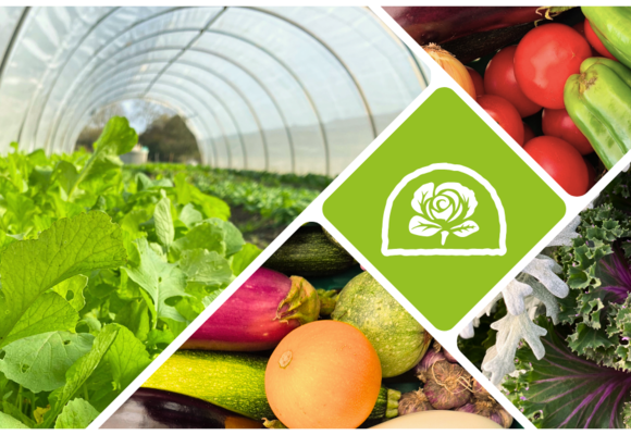 Les serres Dellarossa_Pujaudran