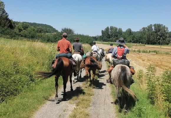 Route Européenne Equestre d'Artagnan en Tarn et Garonne_Montauban