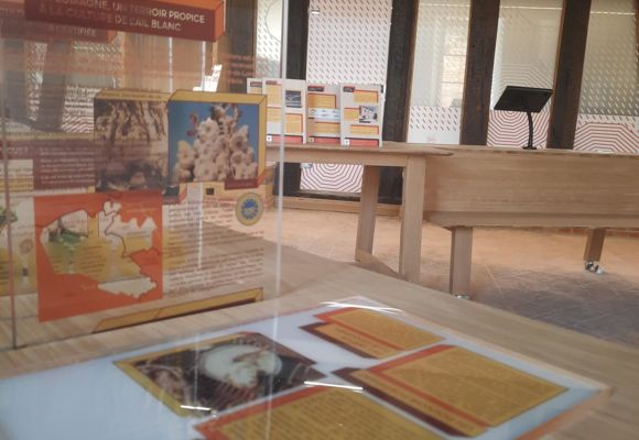 expo