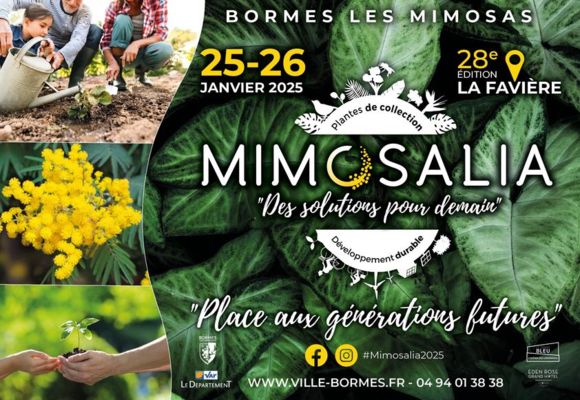 Mimosalia_Bormes-les-Mimosas