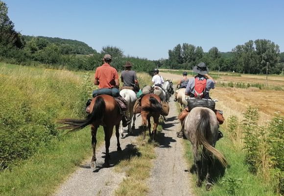 Route Européenne Equestre d'Artagnan en Tarn et Garonne_Montauban