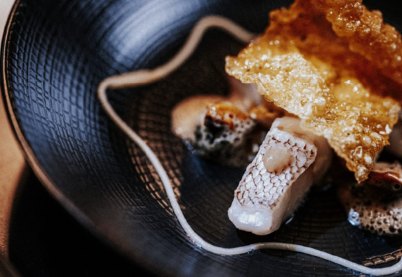 Le Puits Saint Jacques_Pujaudran