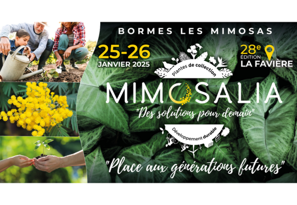 Mimosalia_Bormes-les-Mimosas