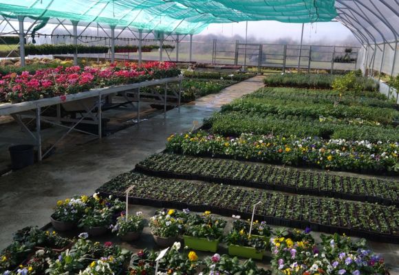 Potager de la Musiquette_Beaumont-de-Lomagne