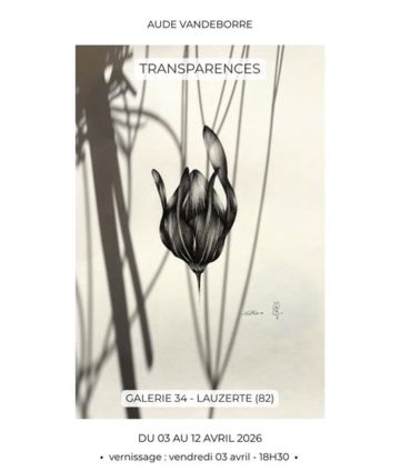 Exposition à la Galerie 34