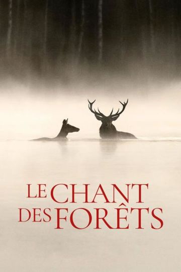 Festival Quercinété à Tréjouls : 