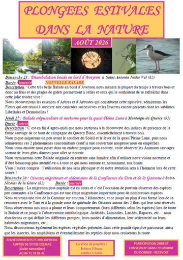 Balade crépusculaire à Montaigu-de-Quercy