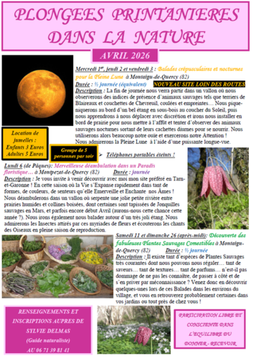 Découverte des fabuleuses plantes sauvages comestibles