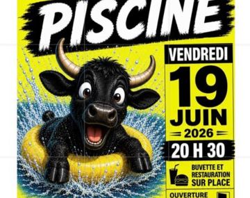 Toros piscine 