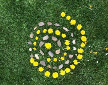 Balade nature créative au lac