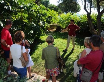 Visite guidée botanique : Circuit fleuri du village 02 juillet 