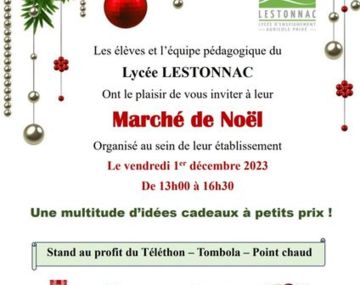 Marché de Noël du LAEP Lestonnac 