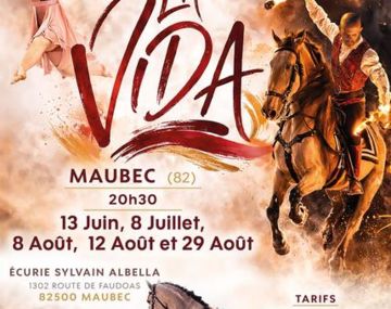 Spectacle équestre et aérien 