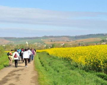 Randonnée pédestre 