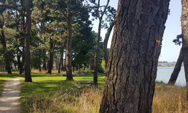 Aire de pique nique sous les pins, le long du Scorff, côté boulevard Laënnec à Lorient (Morbihan, 56)