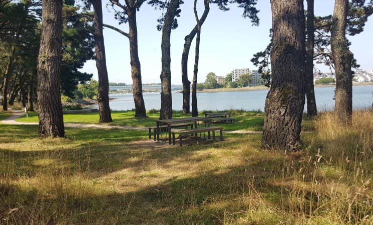 Aire de pique nique sous les pins, le long du Scorff, près de la gare à Lorient (Morbihan, 56)