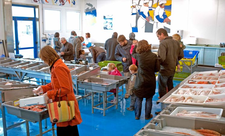 Au coeur du port de pêche de Keroman, la selection de poissons et fruits de mer de Moulin Lorient Marée à Lorient, Bretagne Sud (Morbihan, 56)
