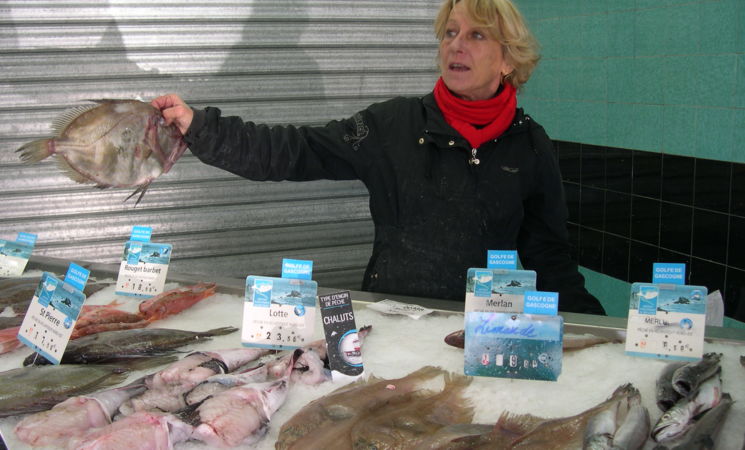 En directe de la criée, les produits de la Poissonnerie Coeffic à Hennebont, proche Lorient Bretagne Sud (Morbihan, 56)