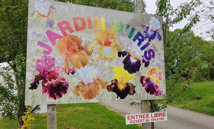 entree-jardin-iris-plantation-fleurs-bubry-lorient-bretagne-sud-morbihan-cath-le-bail-lbst-18633