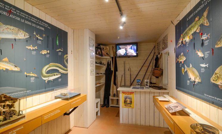 Exposition sur les poissons du Scorff à la Maison des Princes de Pont-Scorff (Morbihan, 56)