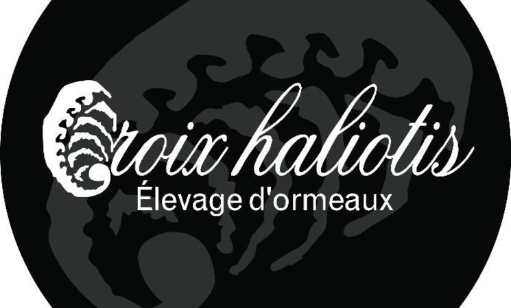 groix-halioitis-elevage-ormeaux-groix-lorient-morbihan-bretagne-sud-9632-9632-18194