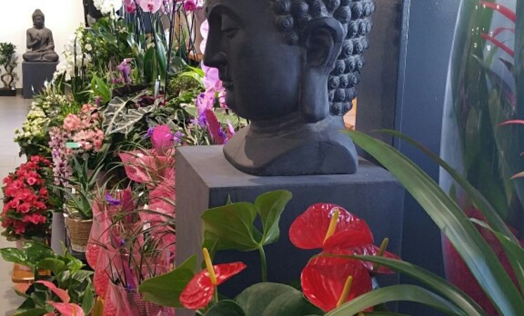 id.fleurs, la nature vous inspire, plantes en pot et décorations, Hennebont (Morbihan,56)