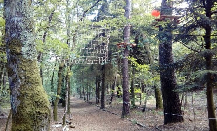 Quatre hectares de forêt au parc aventure La Tyrolienne à Lanester, proche Lorient Bretagne Sud (Morbihan, 56)