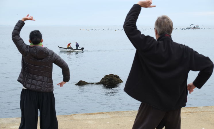 Stage de Qi Gong sur l'île bretonne de Groix, à Lorient Bretagne Sud (Morbihan, 56)