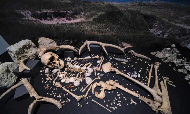 Un squelette du Mésolithique au Musée de Préhistoire de Carnac, proche Lorient Bretagne Sud (Morbihan, 56)