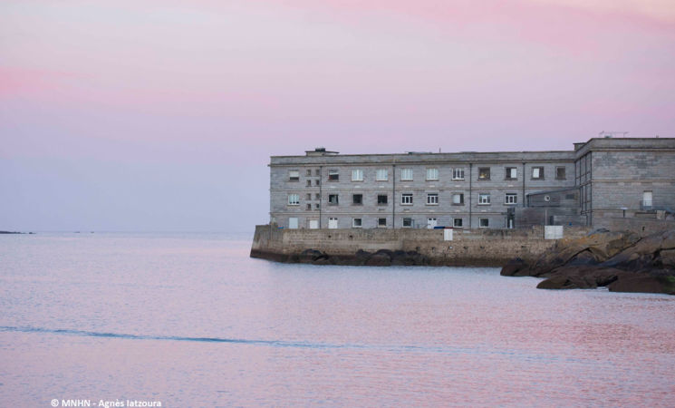 Visitez la vitrine de la Station marine, le Marinarium de Concarneau, proche Lorient Bretagne Sud (Finistère, 29)