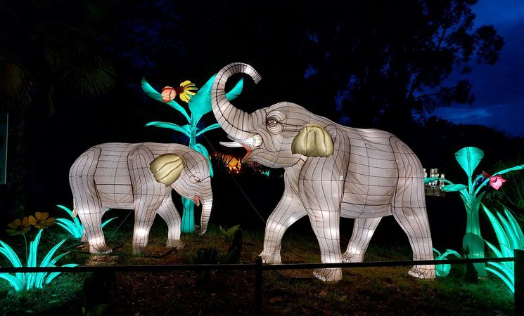 Structures lumineuses d'éléphants au spectacle Les Animaux de Lumière aux Terres de Nataé (Morbihan, 56)