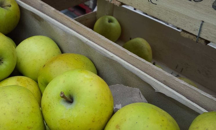 Pommes de Brière au marché de Merville