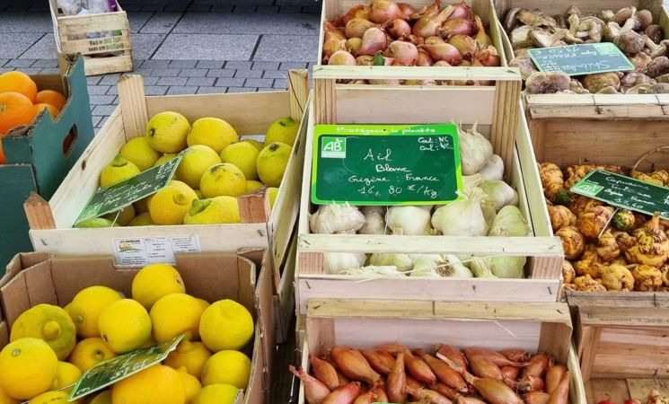 Fruits et légumes d'hiver au marché bio