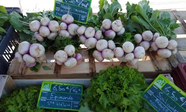 Légumes de saison au marché