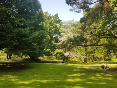 Aires de pique-nique de Bois du Château