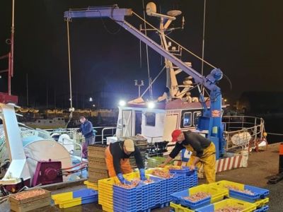 Visite nocturne du port de pêche : Keroman à l’heure des langoustines