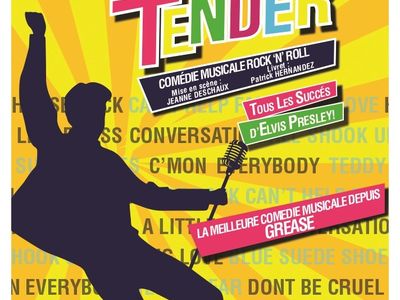 Comédie musicale « Love me tender »