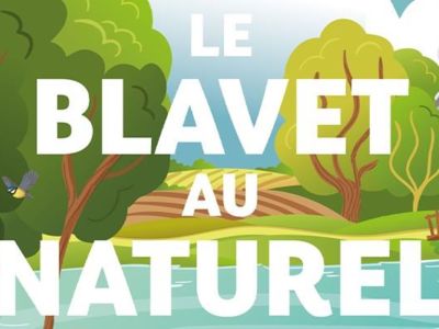 Les arbres du bois de Kerlivio