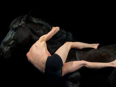 Animal Danser avec le vivant, Théâtre du Centaure - Avec 4 chevaux