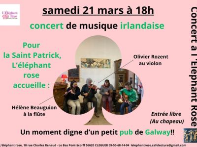 Musique irlandaise