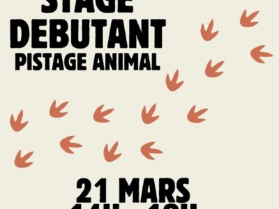 Stage : Pistage animal