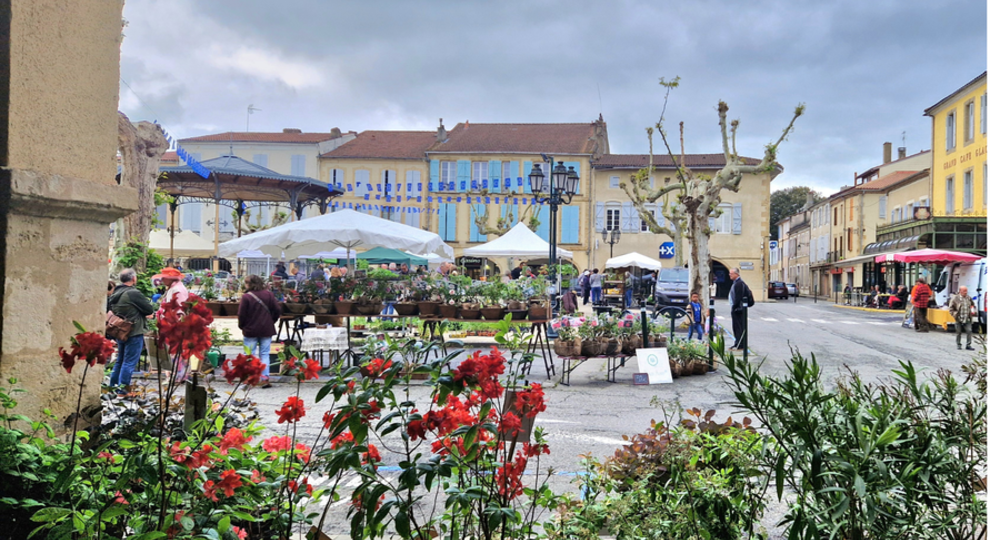 Marché végétal_Mirande
