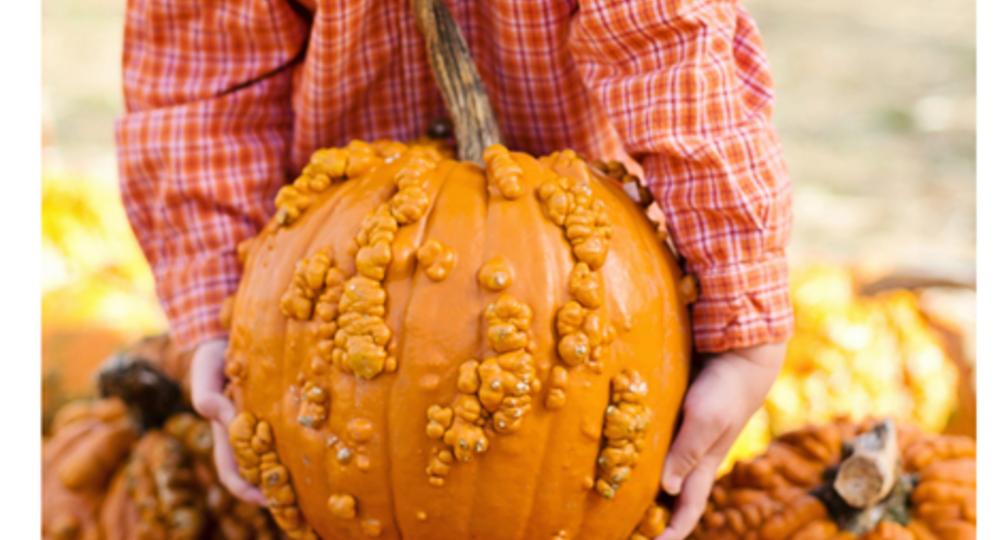 Ateliers des petits curieux : Halloween dans l'assiette_Mirande