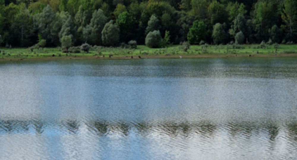 Lac de Saint-Laurent_Bassoues