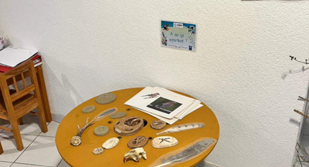 Cabinet de curiosités_Mirande