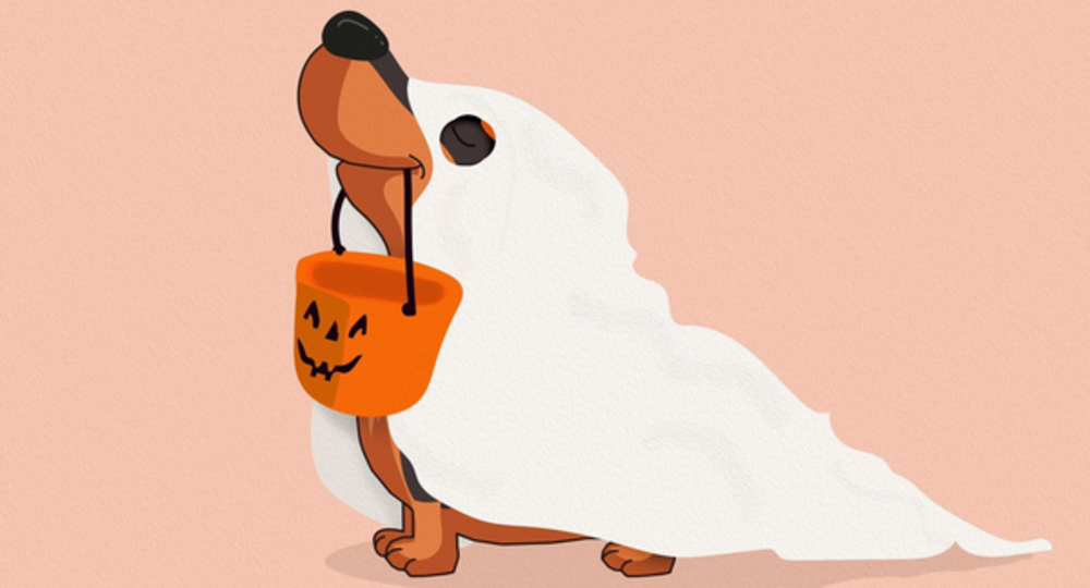 Halloween à Mirande_Mirande