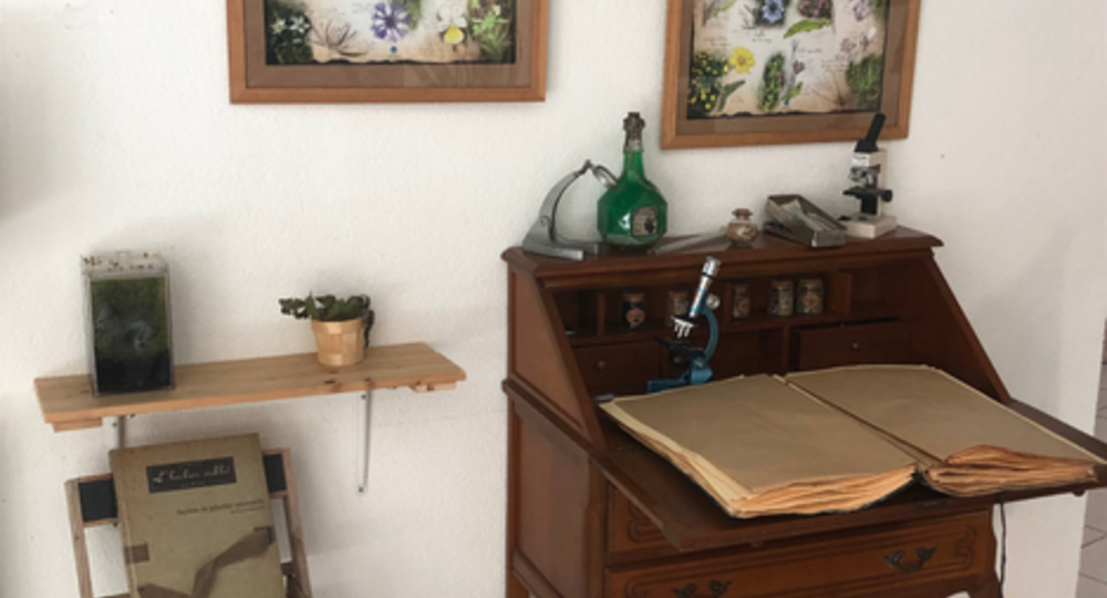 Cabinet de curiosités_Mirande