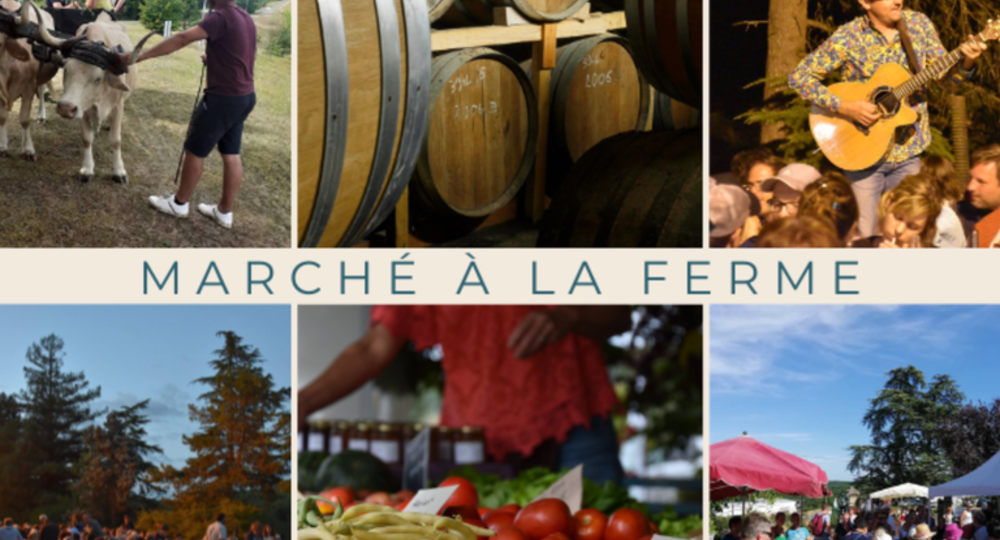 Marché à la ferme au domaine de Bilé_Bassoues