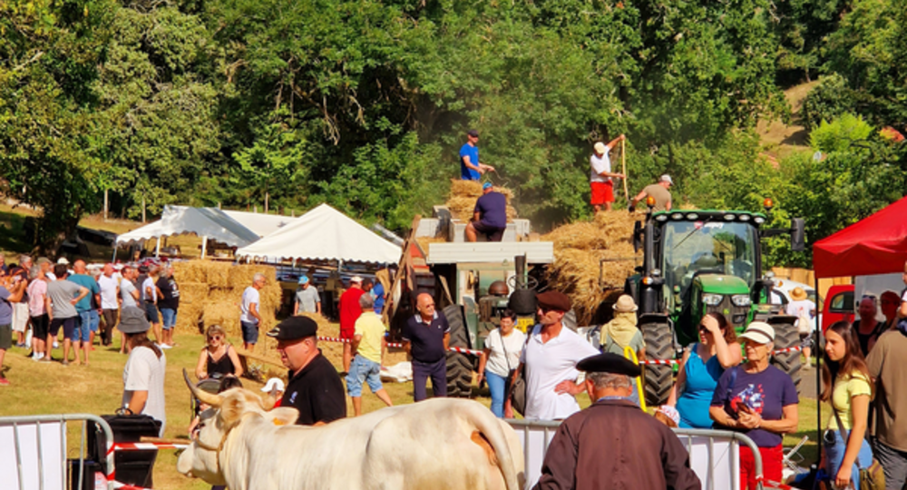 Foire de la Madeleine_Montesquiou